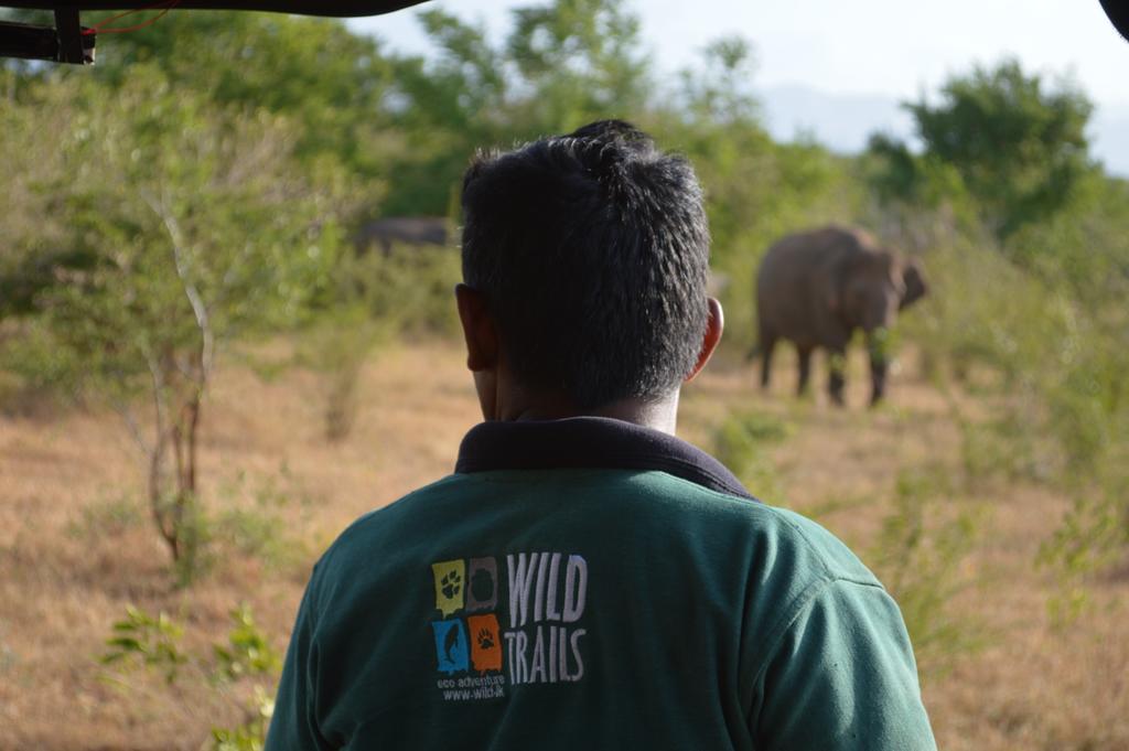 Wild Panthera Yala Tissamaharama Extérieur photo