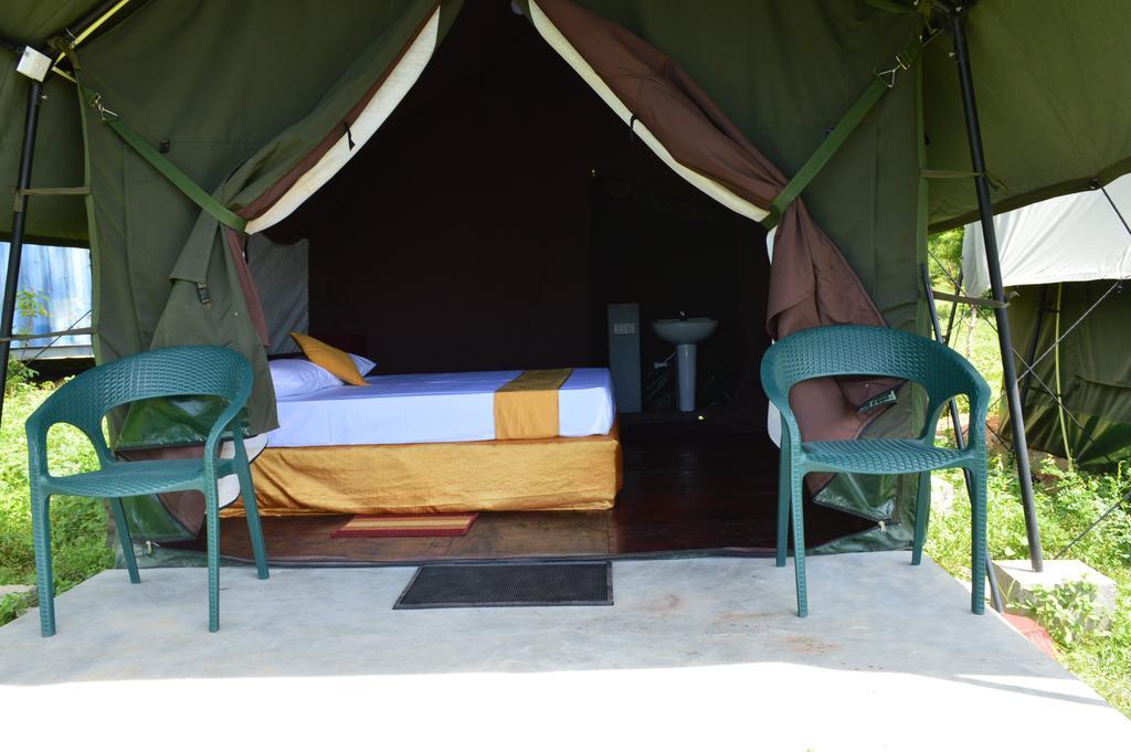 Wild Panthera Yala Tissamaharama Extérieur photo