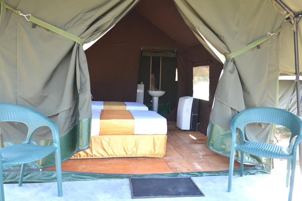 Wild Panthera Yala Tissamaharama Extérieur photo