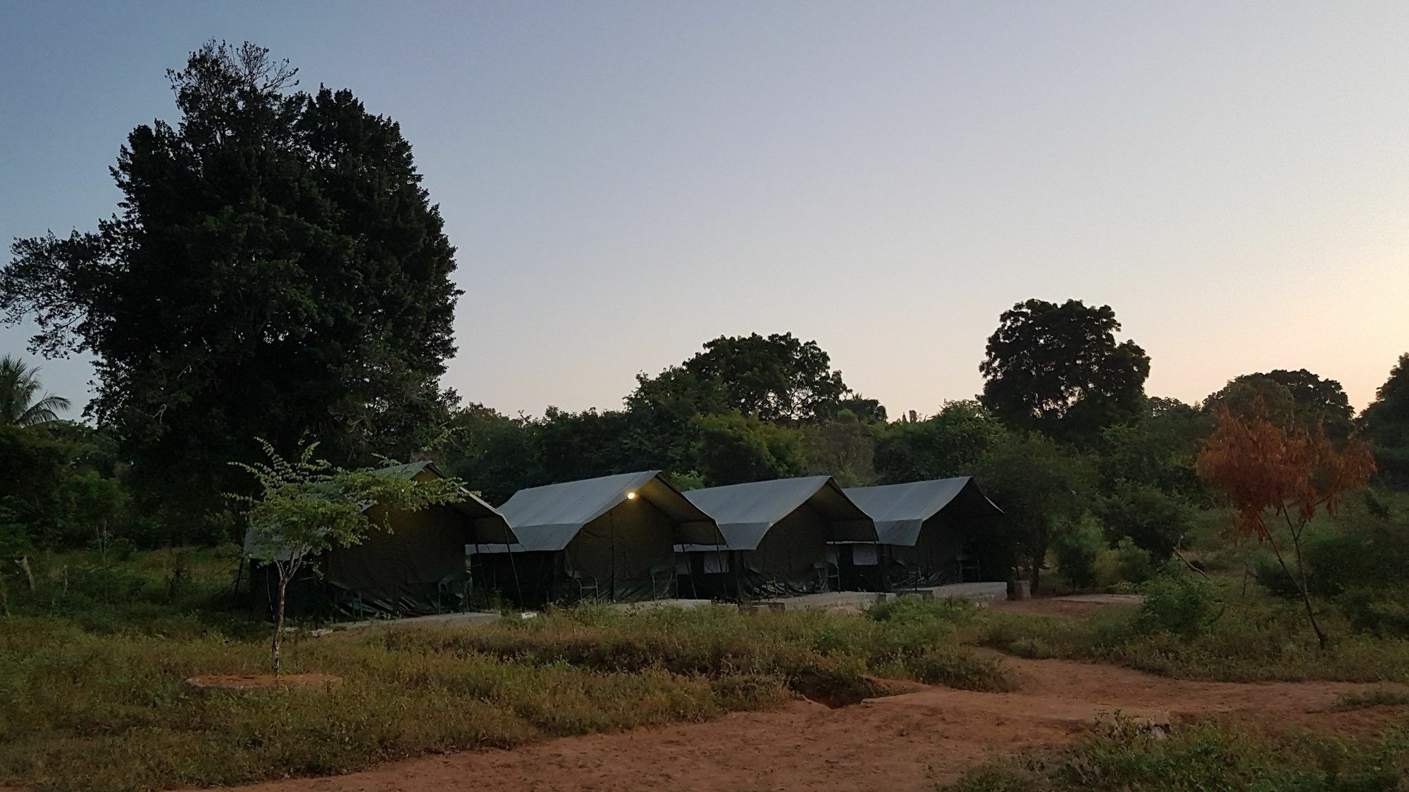 Wild Panthera Yala Tissamaharama Extérieur photo