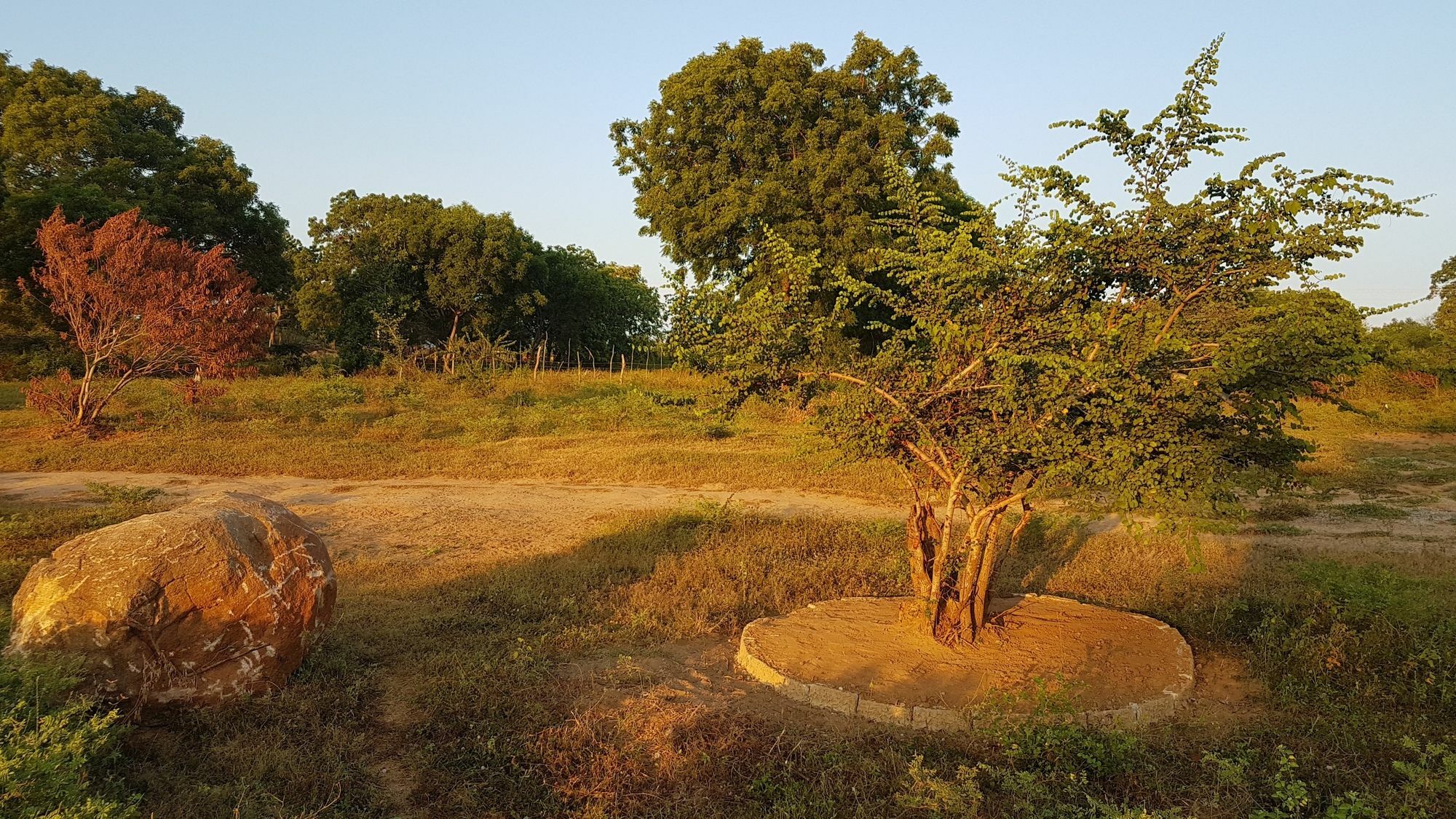 Wild Panthera Yala Tissamaharama Extérieur photo